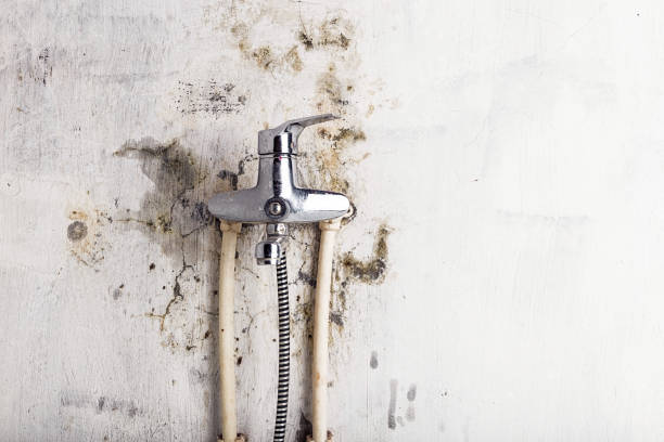 Bartlesville, OK Mold Remediation Company