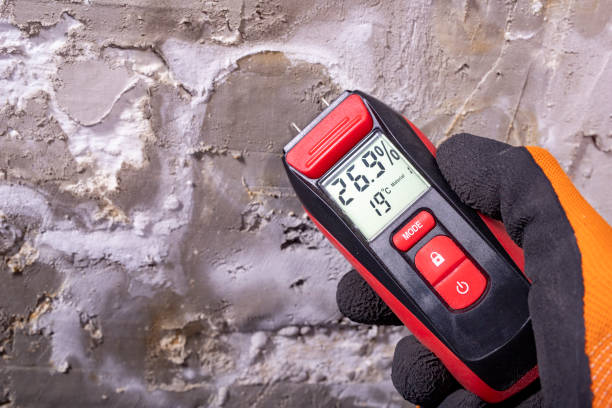 Best Localized Mold Remediation (e.g., coastal areas, humid climates) in Bartlesville, OK