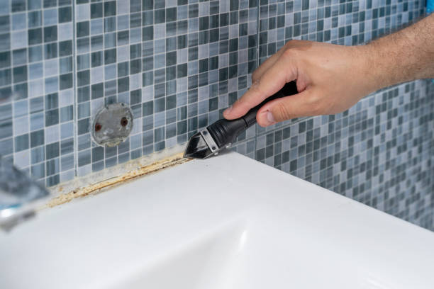 Best Kitchen Mold Remediation in Bartlesville, OK