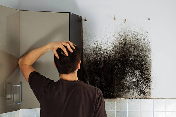 Best Post-Flood Mold Remediation in Bartlesville, OK